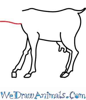 300x350 How To Draw A Goat