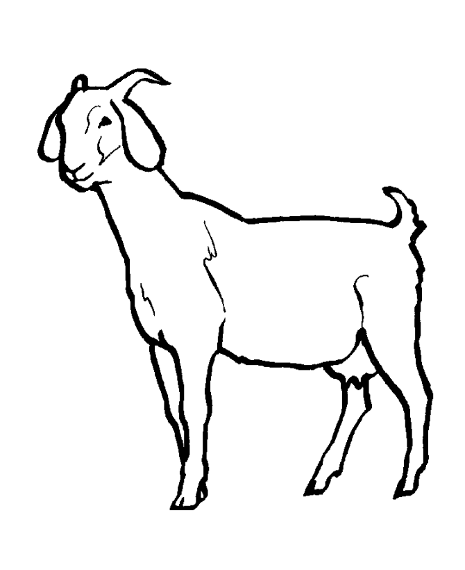 670x820 Download Goat Coloring Pages For Kids Best Coloring Pages Clip