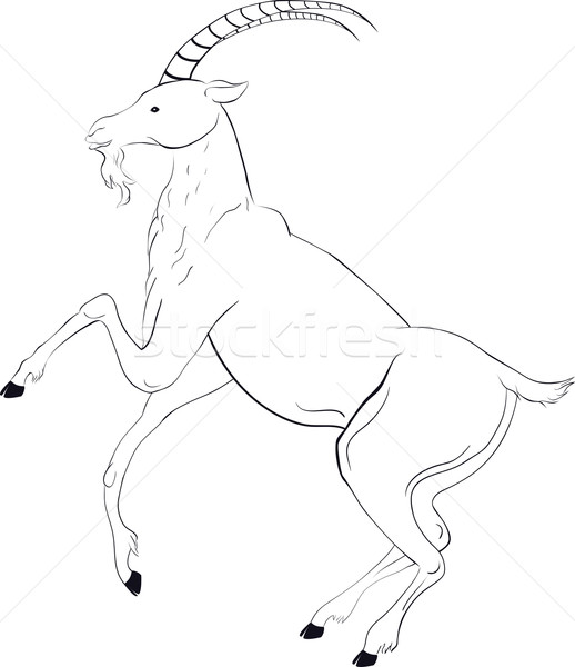 518x600 Goat Sketch Vector Illustration Irina Shishkina (Hipatia