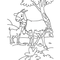 230x230 Top 25 Free Printable Goat Coloring Pages Online