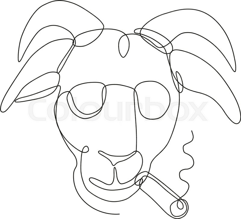 800x727 Continuous Line Drawing Illustration Of A Bill Goat Wearing