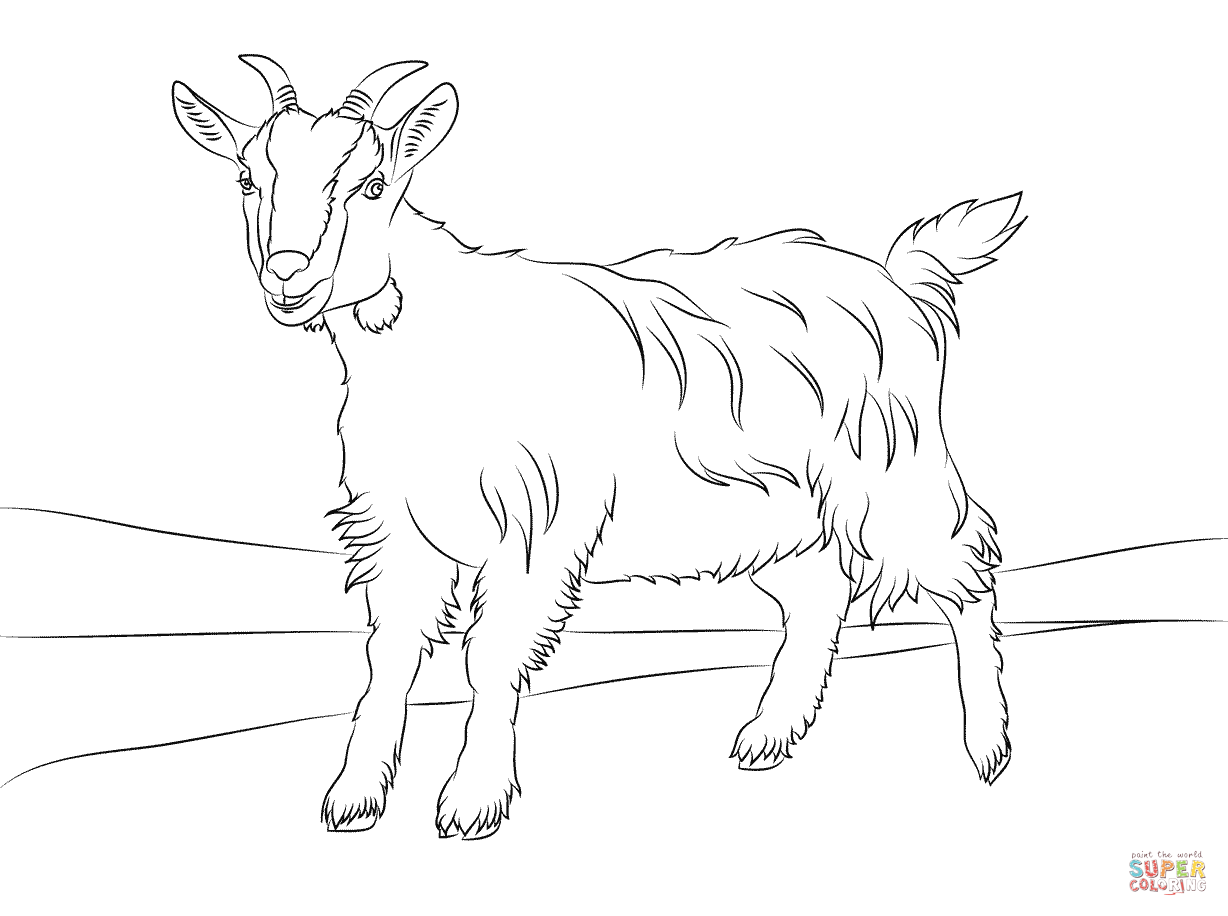 1228x916 Cute Goat Coloring Page Free Printable Coloring Pages