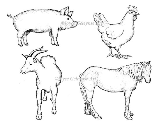 570x430 Digital Stamps, Hand Drawn, Farm Animals, Pig, Horse, Goat