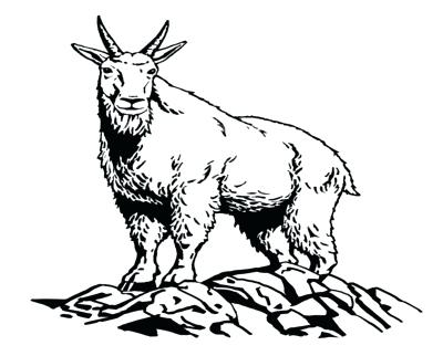 400x322 Goat Coloring Sheet Young Goat Coloring Pages Goat Face Coloring