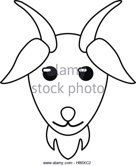 443x540 Goat Stock Vector Images