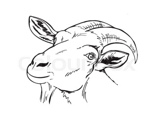 320x259 Goat In The Garden, Hand Draw Stock Vector Colourbox