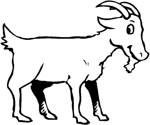 600x502 Drawing Goat Coloring Pages Drawing Goat Coloring Pages Color Luna
