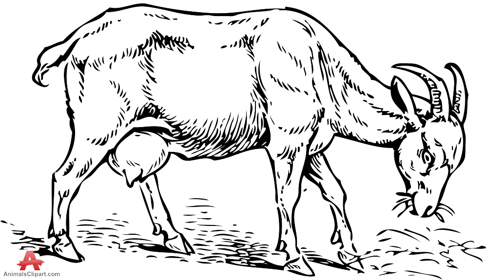 999x575 Drawn Goat Stencil