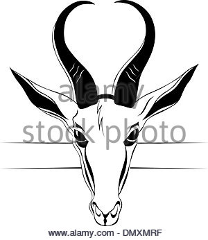 300x346 Goat Head Vector Image Sketch, Illustration Stock Vector Art