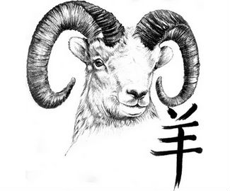 325x270 Awesome Grey Ink Goat Head Tattoo Design