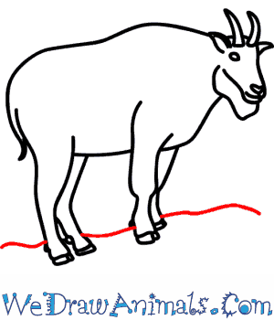 300x350 How To Draw A Mountain Goat