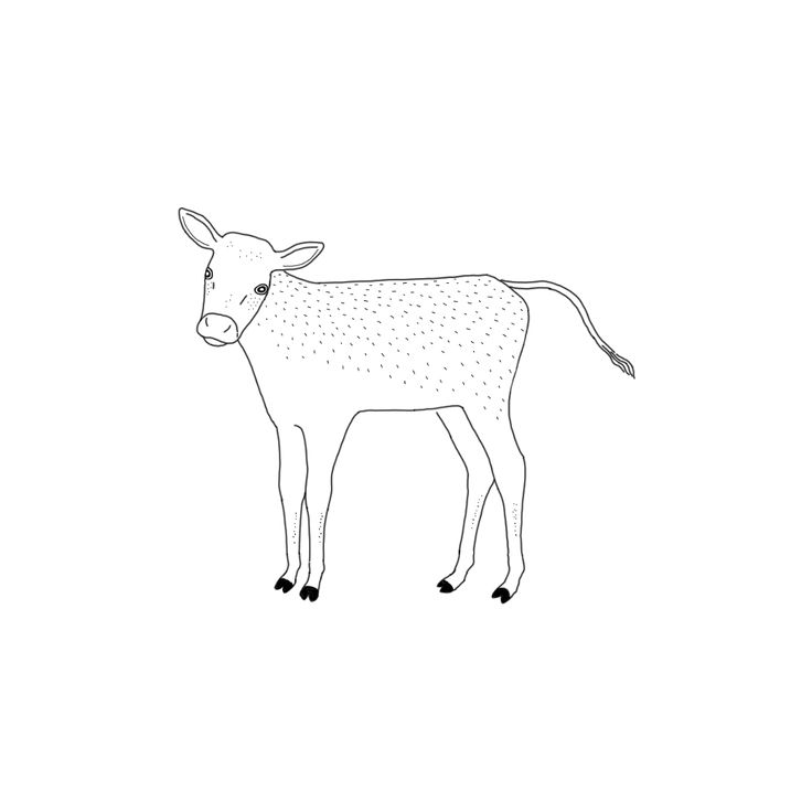 736x736 46 Best Drawings Images On Art Drawings, Draw And Line