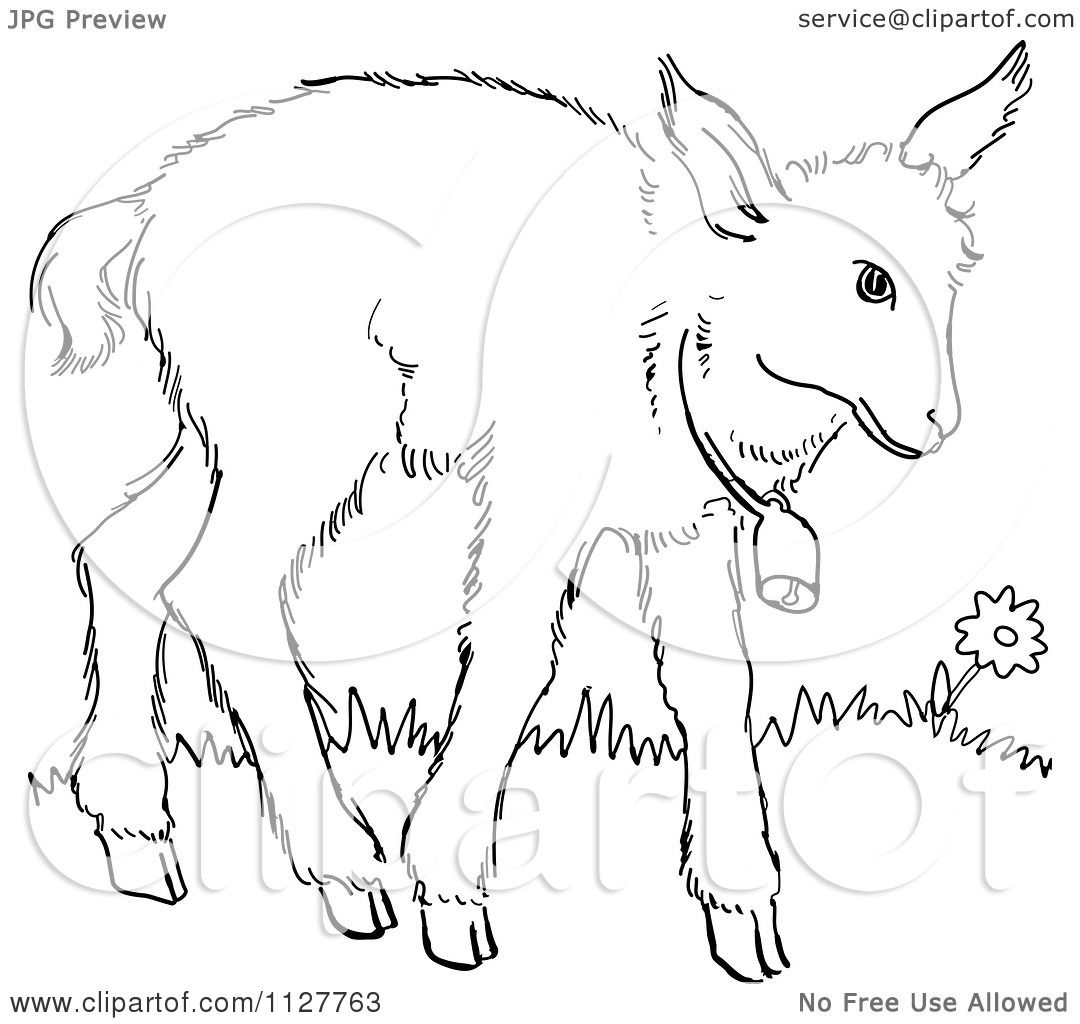 1080x1024 Cartoon Of A Retro Vintage Black And White Baby Goat With A Bell