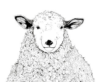 340x270 Custom Line Drawing Sketch 8x10