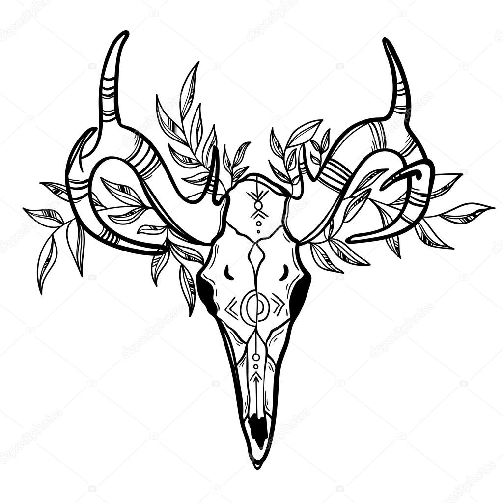 Goat Skull Drawing at GetDrawings | Free download