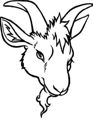 371x477 Goat Head Drawing
