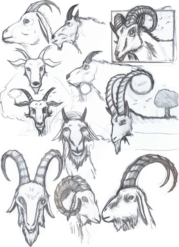 Goats Drawing at GetDrawings | Free download