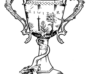 300x250 The Goblet Of The Fire On We Heart It