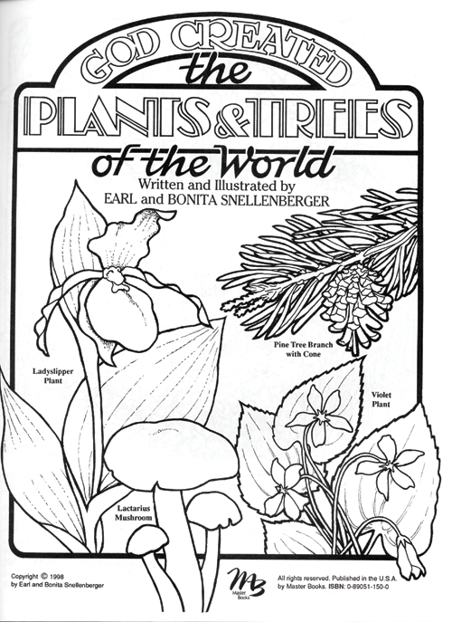 500x687 God Created The Plantstrees Of The World Creation Today