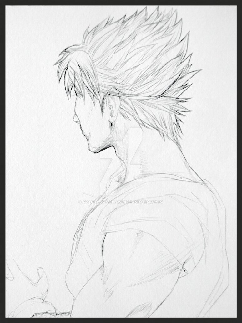 774x1032 Goku Sketch