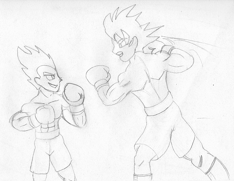 796x616 Goku Vs Vegeta Boxing By Ravenf6