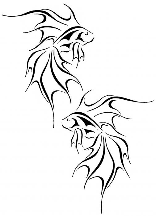 505x700 Fantasy Goldfish Drawing