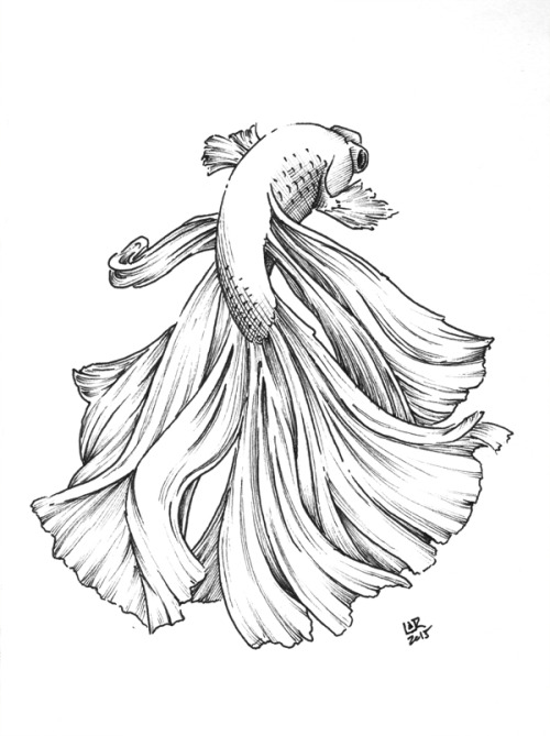 500x669 Beautiful Swimmers