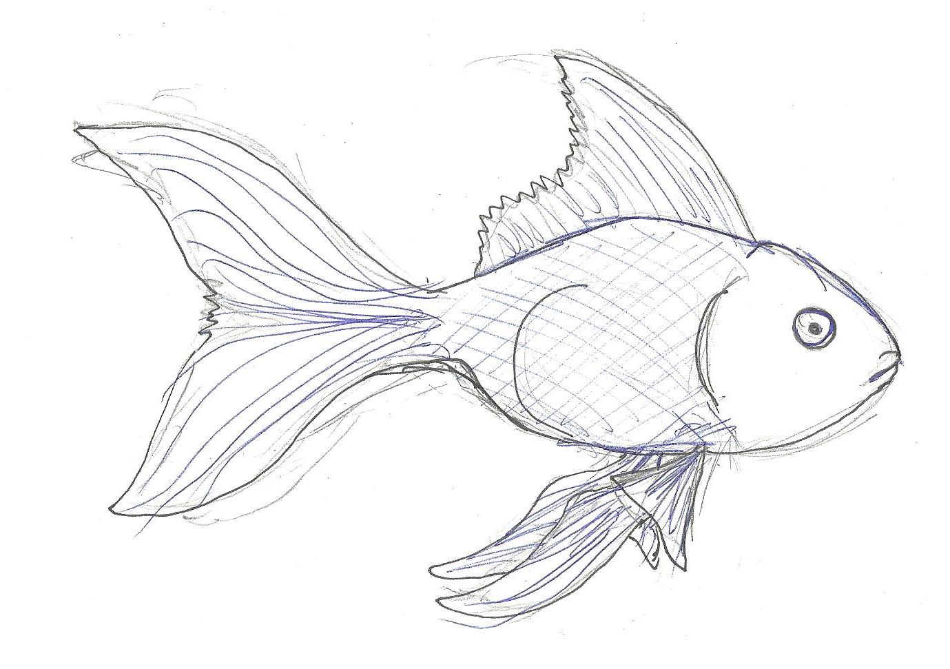 1379x971 Goldfish Sketch, Ballpoint By Ormspryde