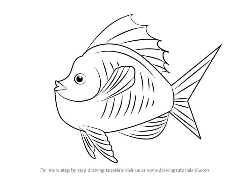 800x566 Learn How To Draw Goldfish In Tank (Animals For Kids) Step By Step