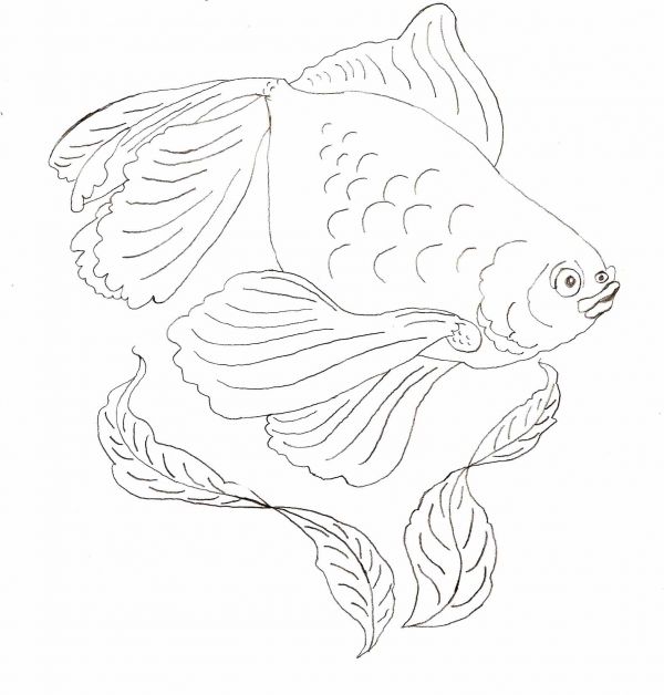 600x628 Simple Animal Drawings For Beginners