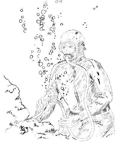 400x480 Your Airline Is An Extension Of Your Life!