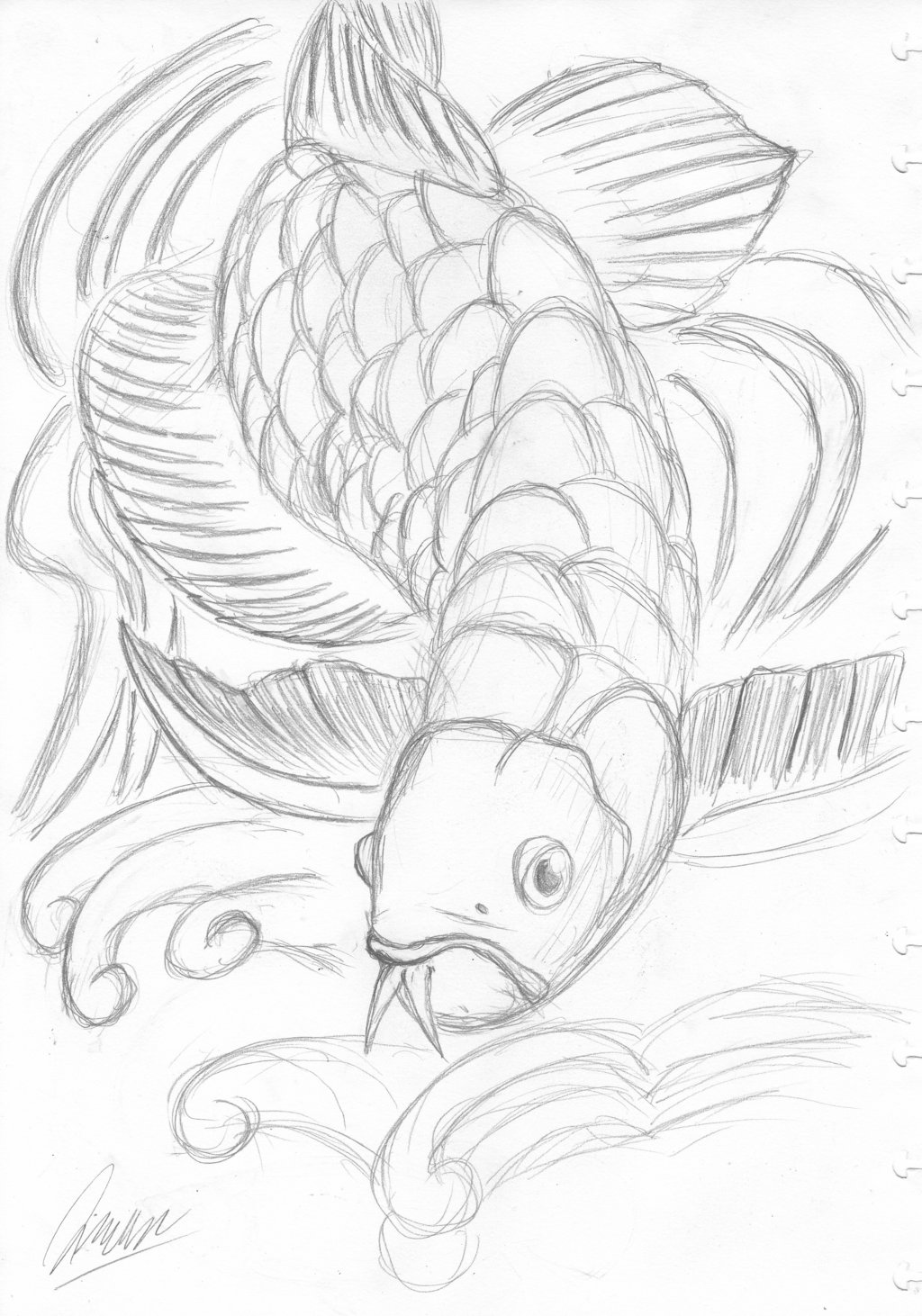 1024x1462 Red Tail Golden Arowana (Sketch) By Pantherf