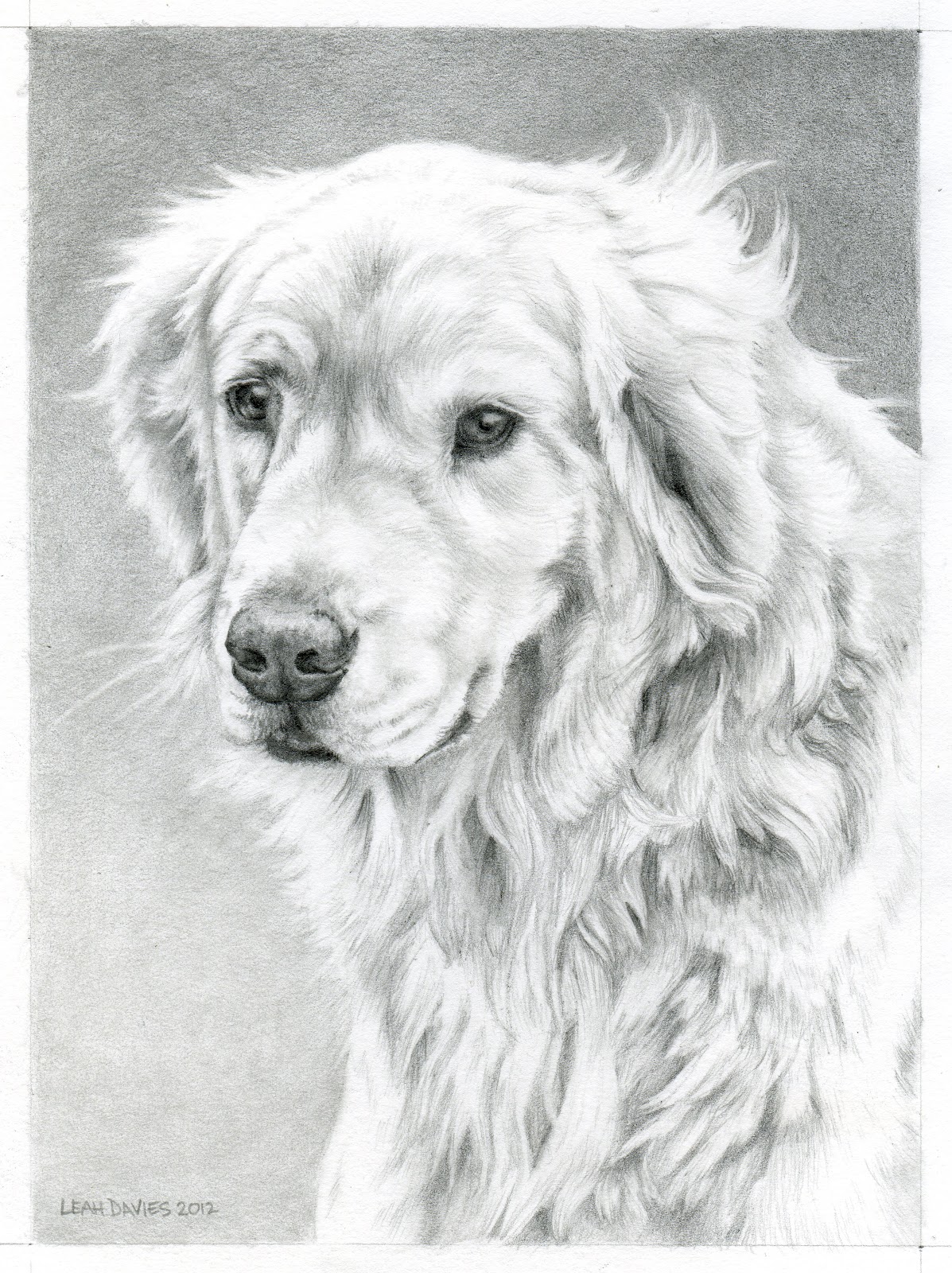 1197x1600 Golden Retriever Coloring Page Leah Davies Art Work