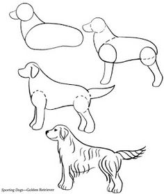 236x279 How To Draw A Golden Retriever Inkspired Musings Summer Rhythms