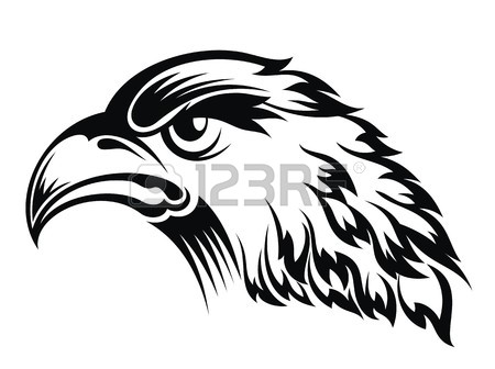 450x336 7,901 Eagle Drawing Cliparts, Stock Vector And Royalty Free Eagle