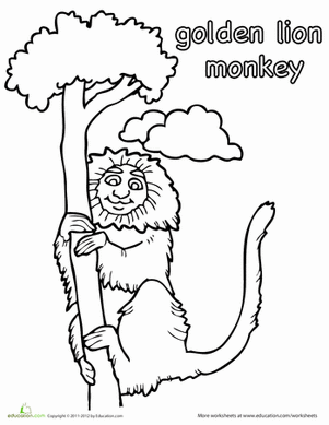 301x389 Color The Golden Gate Bridge Worksheet