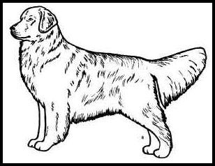 308x238 Specific Dog Breed Line Art Graphics And Drawings
