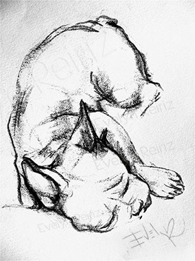 283x378 Illustration