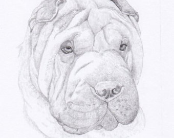340x270 View Personalized Dog Prints By Hansford800 On Etsy