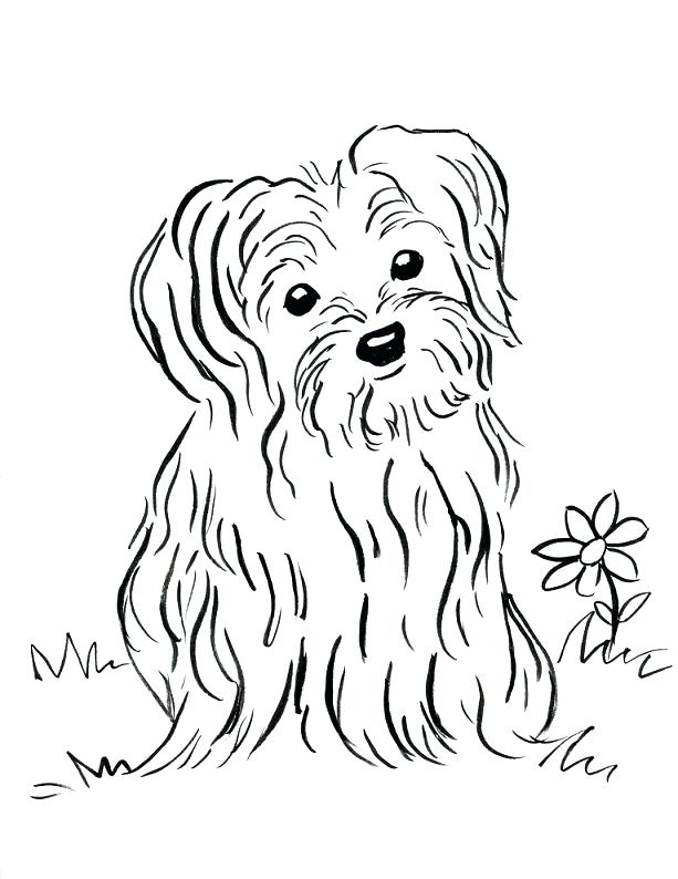 613x794 Puppy Coloring Pages 51 Packed With Puppy Coloring Pages Free