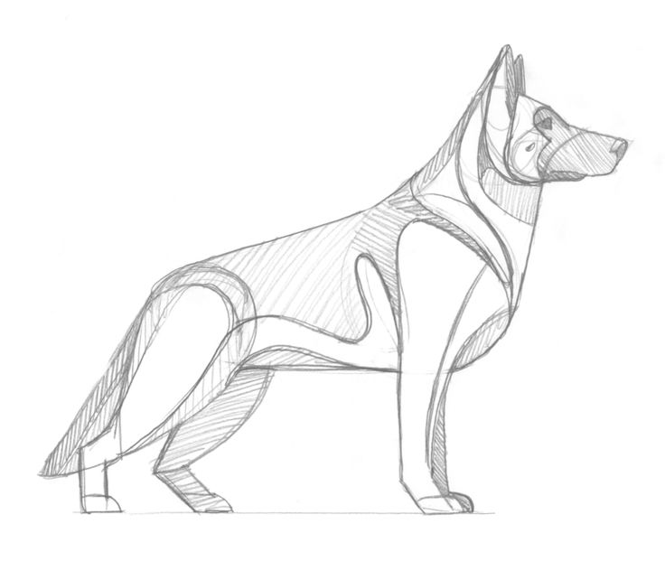 736x621 German Shepherd Sketch By Dkng German Shepherd Dog Logo