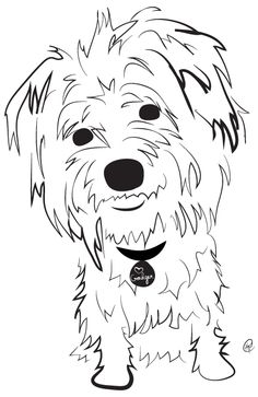 Goldendoodle Drawing at GetDrawings | Free download