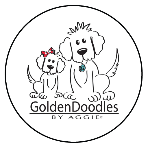 512x512 Goldendoodles By Aggie