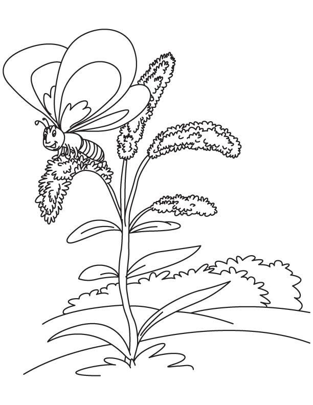 612x792 Goldenrod And Visiting Butterfly Coloring Page Download Free