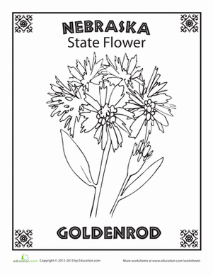 301x388 Nebraska State Flower Worksheet