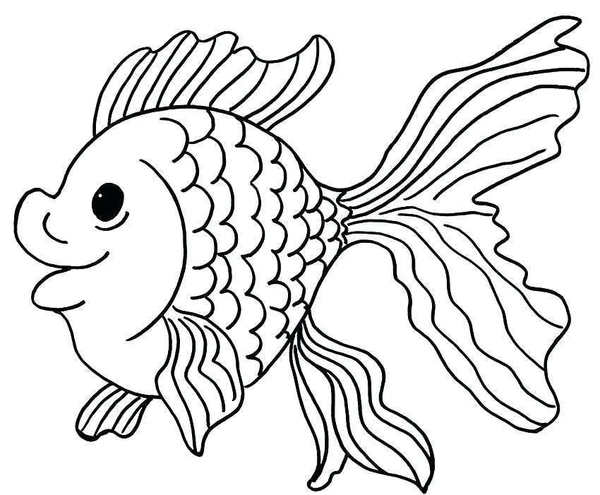 Goldfish Bowl Drawing at GetDrawings | Free download