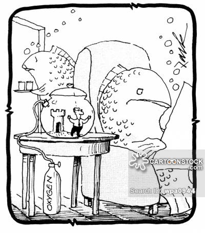 400x455 Goldfish Bowl Cartoons And Comics