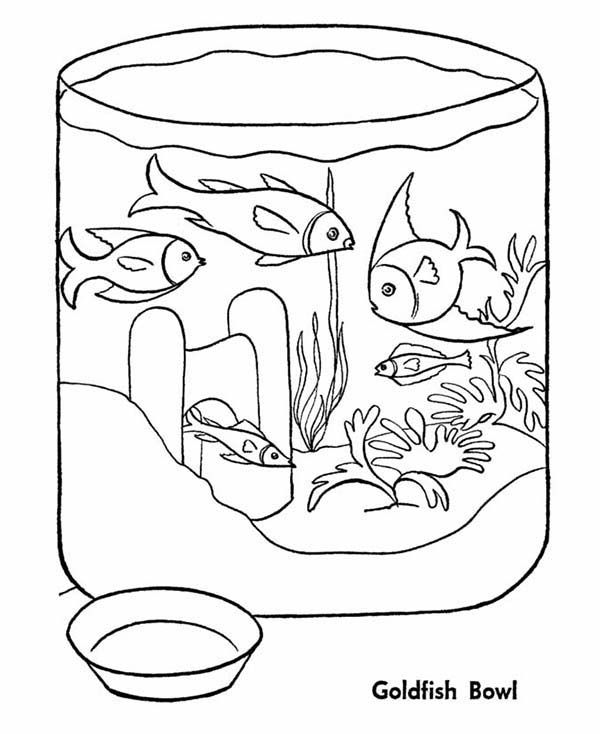 600x734 Goldfish In Fish Bowl Coloring Page