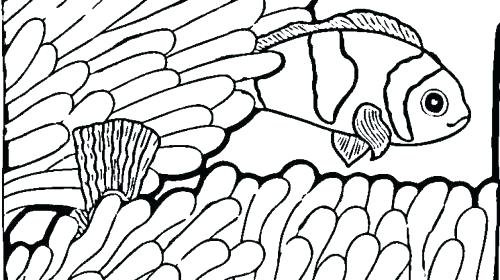 500x280 Realistic Fish Coloring Pages Fish Color Pages Packed