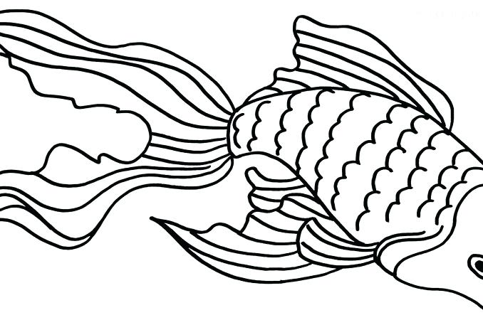678x450 Goldfish Coloring Page